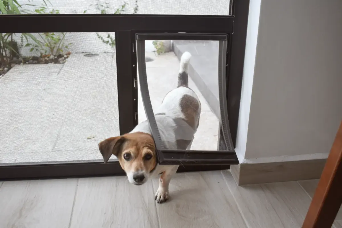 Built-in dog door option for a patio door