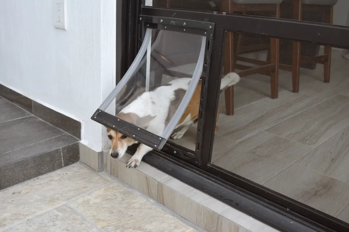 Built-in dog door option
